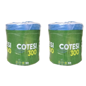 Coppia bobine spago COTESI 300